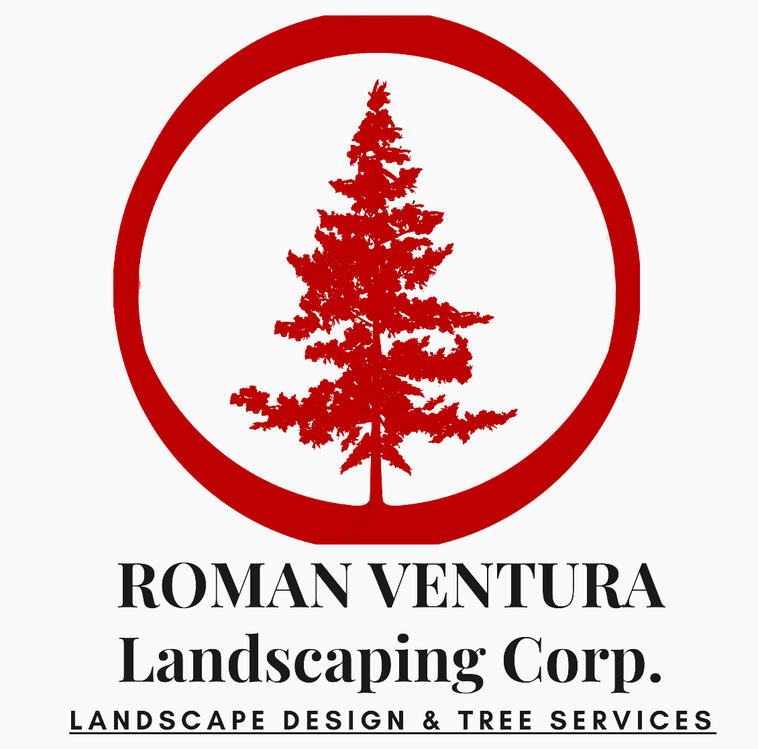 Roman Ventura Logo